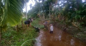 Cegah Banjir, Babinsa Bersama Masyarakat Kelurahan Sungai Rasau Kerja Bakti Pembersihan Sungai