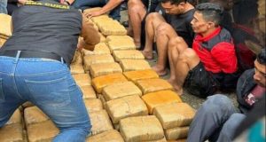 BNN Berhasil Ungkap Kasus Penyelundupan Paket Ganja dari Aceh Gayo Lues Menuju Sumatera Barat