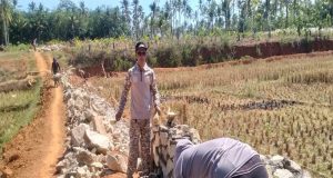 Pemerintah Pekon Waringinsari Barat Realisasikan DD Tahap 2 Tahun 2024 Untuk Pembangunan TPT