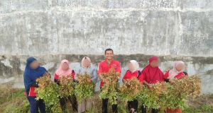 Lapas Perempuan Sigli Sukses Panen Kacang Tanah, Program Pembinaan Berkebun Membuahkan Hasil
