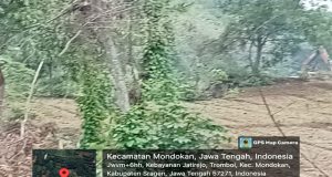 Tambang Galian C di Wilayah Desa Trombol Kec. Mondokan Kab. Sragen Diduga Tidak Mengantongi Ijin Resmi Masih Bebas Beroperasi
