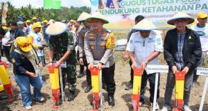 Dukung Asta Cita Presiden, Polda Sulteng tanam Jagung dilahan 20 Hektar