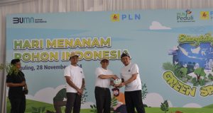 Hari Menanam Pohon 2024, Komitmen PLN Indonesia Power pada Energi dan Lingkungan