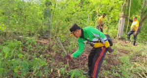 Lahan Untuk Ketahanan Pangan Dibuka Seluas 20 Are Polsek Kawasan Pelabuhan Gilimanuk Bersama Masyarakat di Lingkungan Asri Gilimanuk