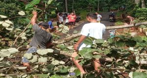 Budaya Gotong Royong Sambut Musim Penghujan di Desa Guyangan Dukoh plasan RW 02