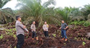 Asistensi Program Ketahanan Pangan, Kapolres Landak Apresiasi Sinergi Masyarakat dan Perusahaan