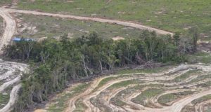 Surat Terbuka Prof Arya Hadi Dharmawan, Ahli Kehutanan IPB, Kepada Presiden Prabowo Subianto