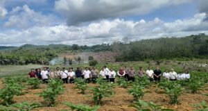 Gugus Tugas Polri Dorong Ketahanan Pangan di Kecamatan Mandor