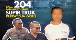 Bawa 204 Batang Kayu Ilegal, Supir Truk di Kubu Raya Dijerat Dua Kasus