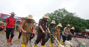 Kegiatan Penanaman Jagung 1 Juta Hektar Dilaksanakan Oleh Polres Hulu Sungai Selatan