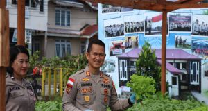 Kapolres Kapuas Hulu Panen Sayuran Hortikultura di Perkarangan Bergizi