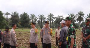 Peninjauan Lokasi Lahan Gerakan Tanam (Gertam) Penanaman Jagung Serentak : Komitmen Polda Kalbar Dukung Ketahanan Pangan
