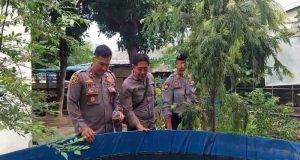 Polsek Kawasan Pelabuhan Gilimanuk Rawat Tanaman P2B dan Ikan di Halaman Belakang Mako