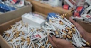 Mafia Rokok Ilegal di Tembilahan Kebal Hukum, Ada Apa dengan APH?