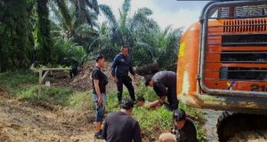 Lima Tersangka Ditetapkan Dalam Kasus Perambahan Hutan 150 Hektare di Inhu