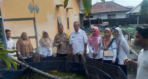 Bhabinkamtibmas Kelurahan Sungai Jawi Dalam Hadiri Panen Raya Budidaya Lele Dukung ketahanan Pangan