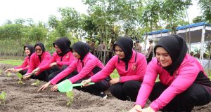 Polres Belitung Menggelar Launching Penguatan Program Pekarangan Pangan Lestari Melalui Pendekatan Terintegrasi dan Berkelanjutan Se-Indonesia