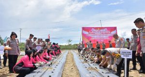 Kapolda dan Ketua Bhayangkari Sulteng Ikuti Lounching Penguatan Program Pekarangan Pangan Lestari