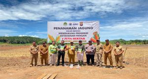 Bersama Forkopimcam, Polsek Matan Hilir Utara Tanam Benih Jagung Di Lahan PT KAL