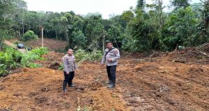 Dukung Ketahanan Pangan, Polsek Sandai Bersama Warga Buka Lahan Untuk Tanam Benih Jagung Hibrida
