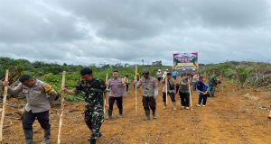 Langkah Positif Dalam Mendukung Ketahanan Pangan, Polsek Sandai Bersama PT CSC Tanam Jagung Hibrida