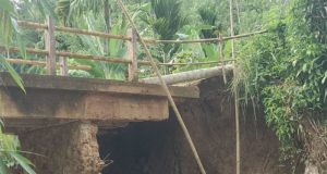 Lapor Pak Bupati Tanggamus: Program 100 Hari Kerja, Ada Di Air Naningan