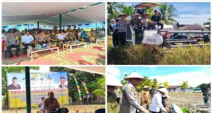 Dihadiri Presiden RI Secara Virtual, Polres Sambas bersama instansi terkait sukseskan Panen Raya Padi di Tebas