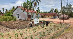 Bhabinkamtibmas Polsek Matan Hilir Selatan Polres Ketapang Cek Perkarangan Pangan Bergizi Milik Warga