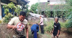 Polsek Gilimanuk Tanamkan Ketahanan Pangan, Rawat Kebun Sayur dan Kolam Ikan