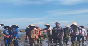Rayakan Lima Tahun, Lanal Ketapang Lakukan Tanam Mangrove, Bakti Sosial dan Pemeriksaan Kesehatan Gratis