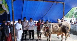 Wakapolres Beltim Hadiri Penyerahan Bantuan Sapi Qurban Idul Adha 1446 H/2025,Dari Presiden Republik Indonesia