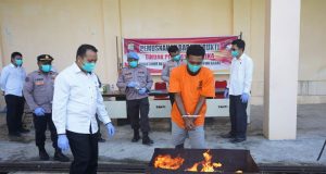 Polda Papua Barat Musnahkan Barang Bukti Ganja dengan Berat 112,4 gram