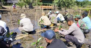 Kapolsek Matan Hilir Utara Hadiri Kegiatan Launching Penanaman 6.000 Bibit Mangrove di Kecamatan Matan Hilir Utara
