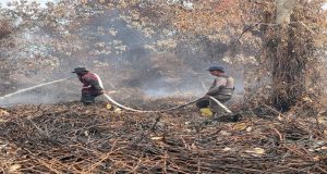Kapolsek Tapung Pimpin Penanganan Pendinginan Kebakaran Lahan Gambut 10 Hektare di Tapung!