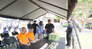 Polda Papua Barat Musnahkan 1.600 Butir Amunisi dan Laras Panjang Senjata Api