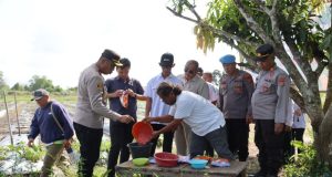 Dukung Asta Cita Presiden Prabowo, Polres Beltim Laksanakan Penanaman Jagung Serentak Kuartal III