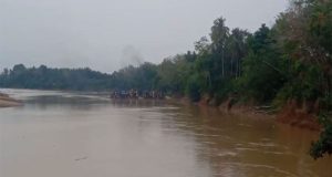 Kuansing, Riau: Aktivitas Peti Ilegal Menjamur, Lingkungan Sungai Kuantan Terancam