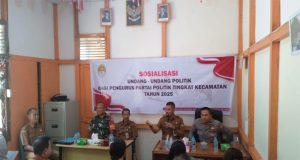 Kapolsek Sei Laur Hadiri Sosialisasi Undang-Undang Politik di Desa Bengaras