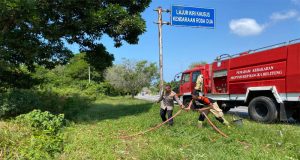 Polda Babel Dan Damkar Gerak Cepat Padamkan Karhutla Di Jalur Perkantoran Gubernur