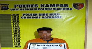 Diduga Cabuli Anak Laki-laki DiBawah Umur, Pria di Siak Hulu Ditangkap