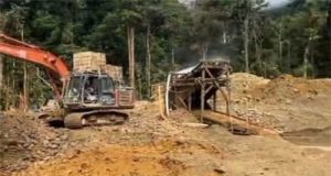 PETI Bebas Beraksi di Solsel, Kapolda Sumbar Janji Tindak Tegas