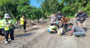 Dukung Ketahanan Pangan, Polsek Simpang Hulu Laksanakan Penanaman Jagung Hibrida di Lahan Demplot