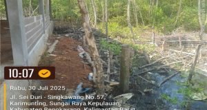 Teluk Suak Dikorbankan : Mangrove Dibabat, Aset Daerah Disulap Jadi Parkir Ilegal