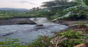 Tertutupnya Aliran Sungai Memupus Harapan Petani Pesawahan Atakh Tengah