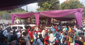 DPK APDESI Dan Camat Marga Punduh Gelar Gerak Jalan Sehat