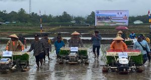 Dukung Program Ketahanan Pangan Kapolres Mansel Hadiri Penanaman Padi Serentak di Oransbari