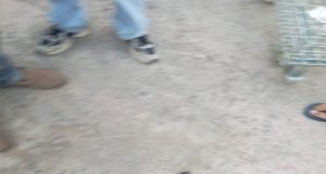 Wartawan dan LIN Mengkonfirmasi Perusahaan Diduga Tanpa Izin Export, Ditolak dan Diintinidasi