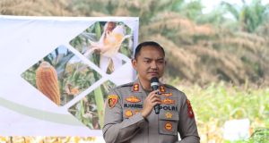 Wujud Implementasi Program Asta Cita Bidang Ketahanan Pangan, Kapolres Ketapang Pimpin Panen Jagung di Kecamatan Kendawangan