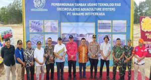 Tambak Udang PT.Vaname Inti Perkasa, Harapan Baru Investasi Di Belitung Timur