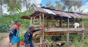 Diduga PJ Pratin Dan Bendahara Pekon Sidorejo Selewengkan Anggaran BUMDES Bina Mandiri